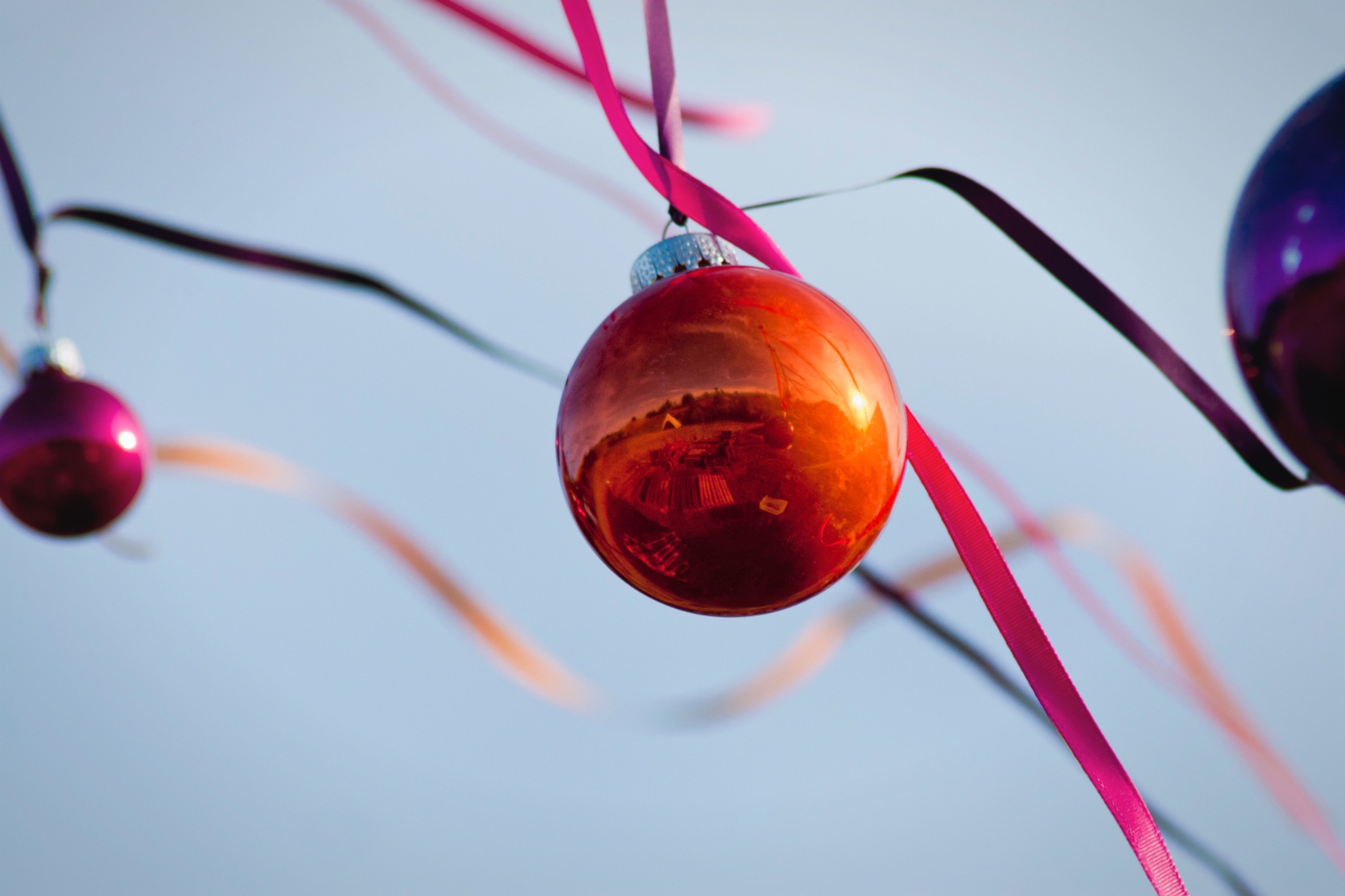 Freiland Sommerfest 2013 11 8638