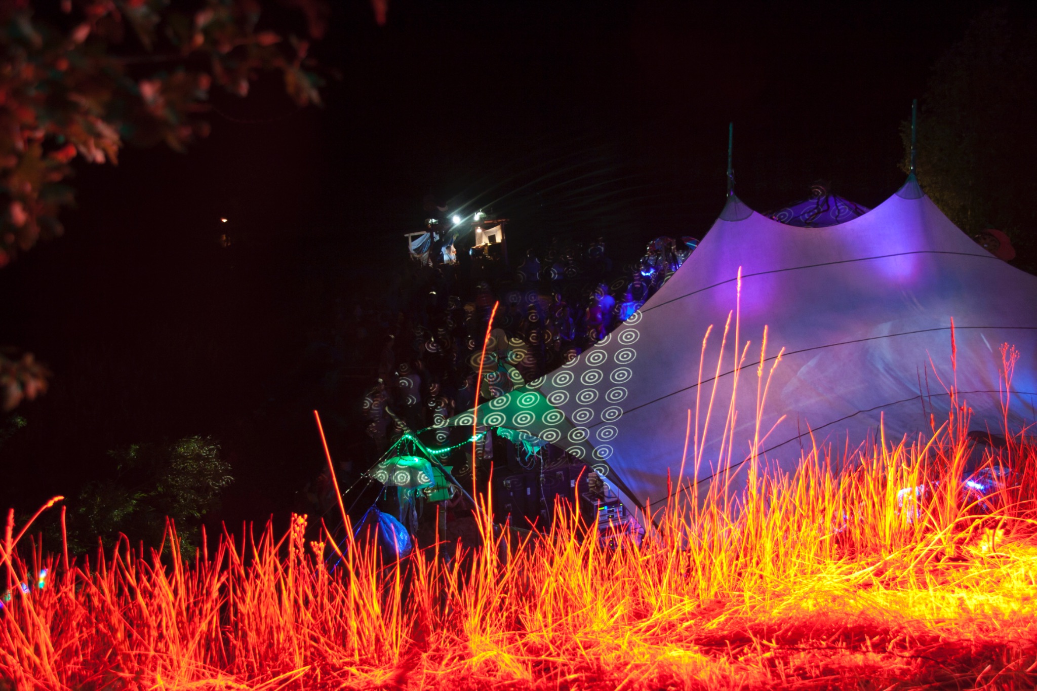 Freiland Sommerfest 2013