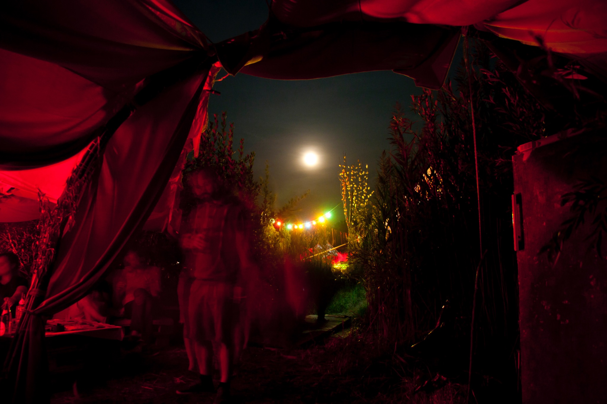 Freiland Sommerfest 2013 32 8810