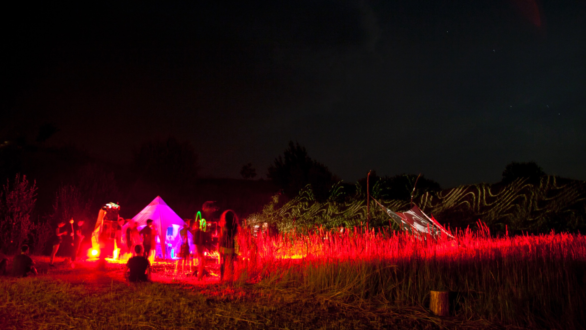 Freiland Sommerfest 2013 33 8812