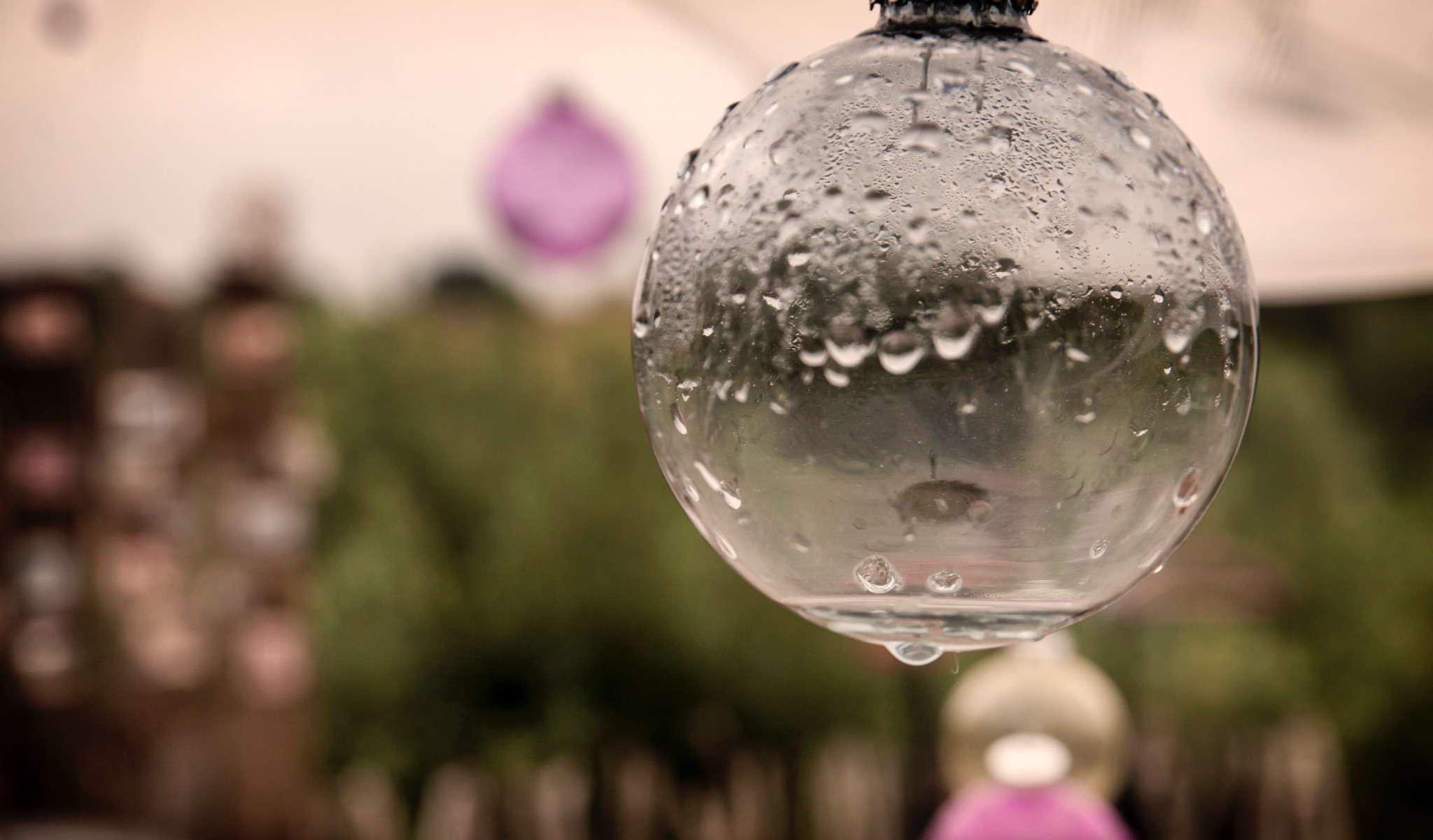 Freiland Sommerfest 2014